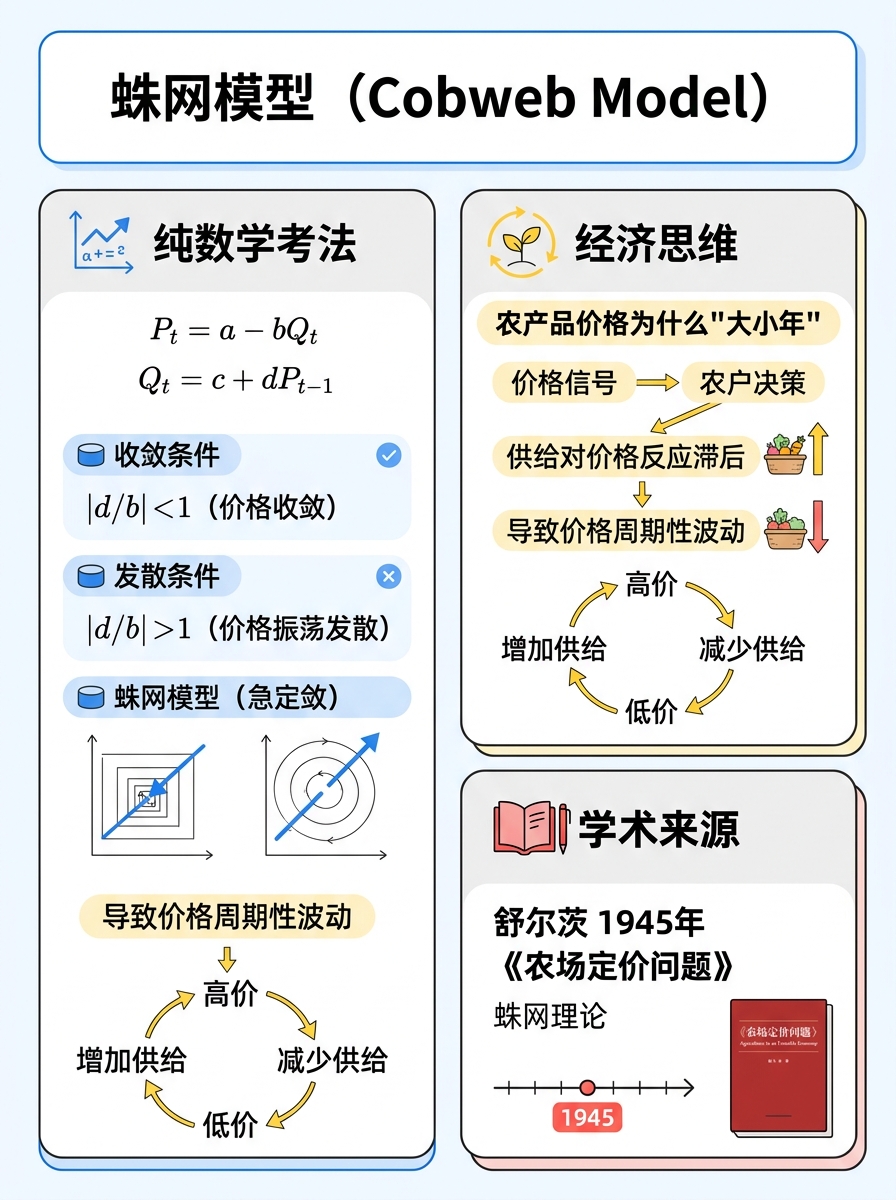 蛛网模型